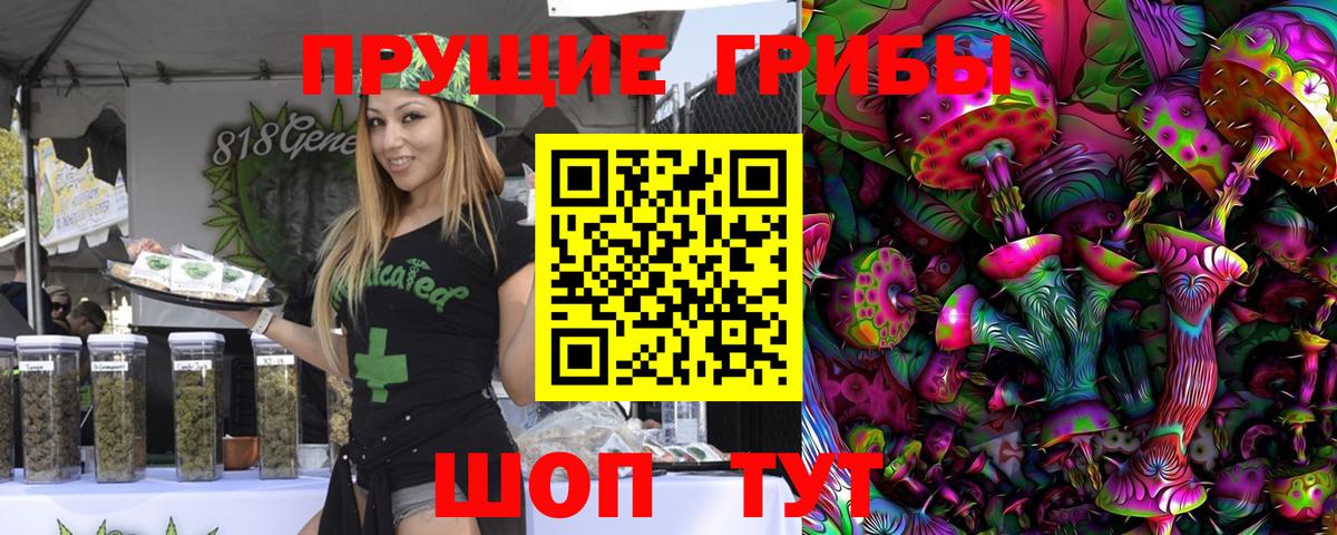 Тихорецк  наркота  Вход с VPN  Псилоцибиновые грибы мухоморы 