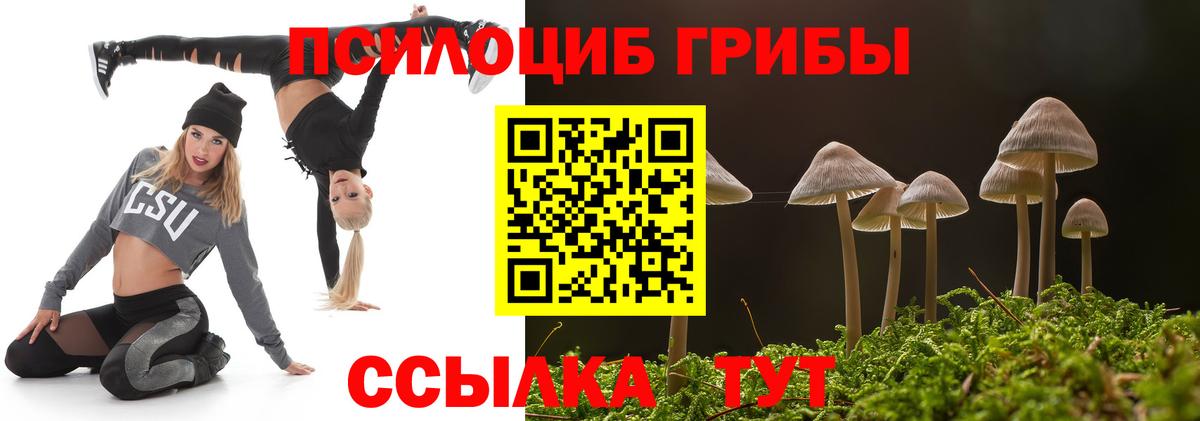 Галлюциногенные грибы MAGIC MUSHROOMS Тихорецк